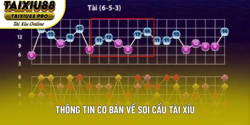 Thông tin cơ bản về bắt cầu tài xỉu