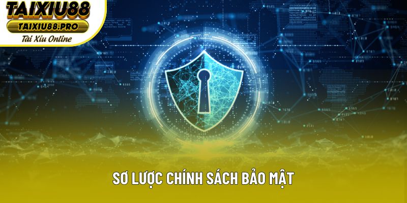 Sơ lược chính sách bảo mật
