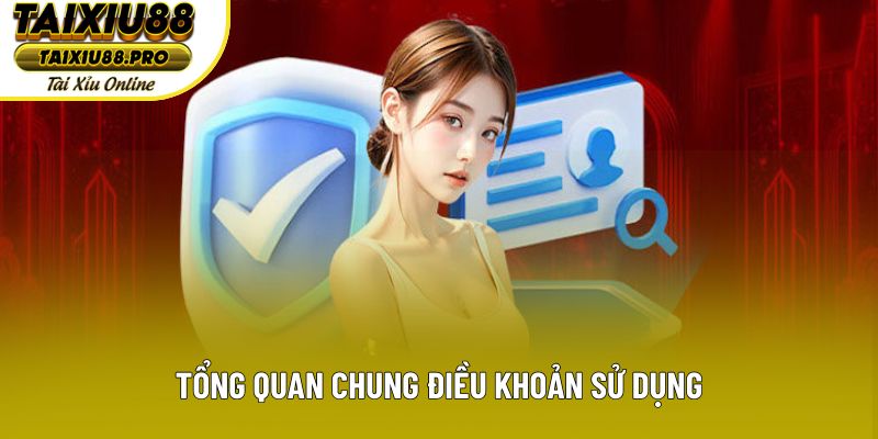 Tổng quan chung điều khoản sử dụng