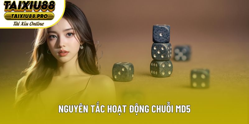 Nguyên tắc hoạt động chuỗi MD5