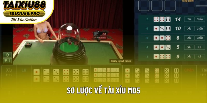 Sơ lược về tài xỉu md5