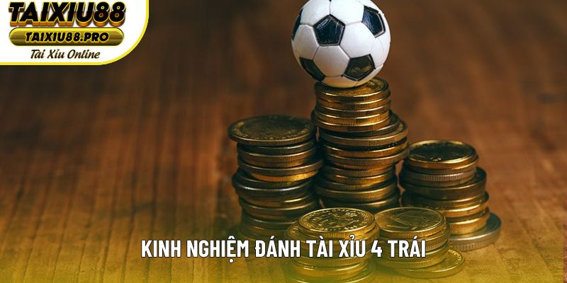 Kinh nghiệm đánh tài xỉu 4 trái