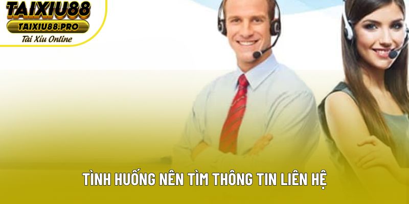 Tình huống nên tìm thông tin liên hệ