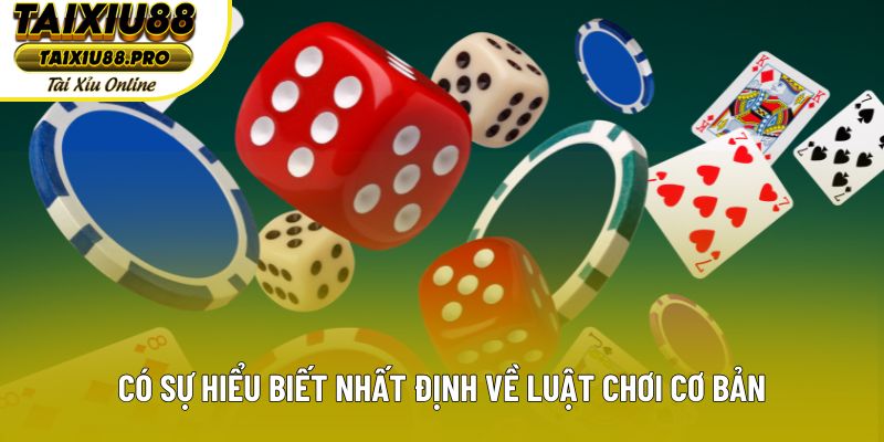 Có sự hiểu biết nhất định về luật chơi cơ bản