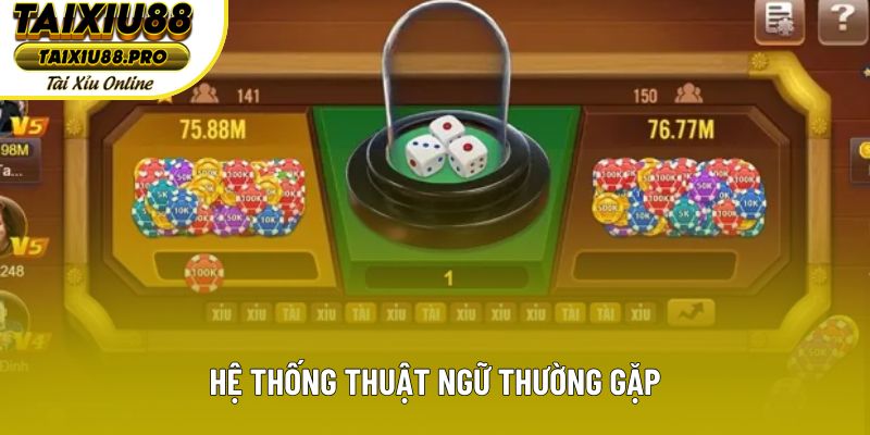 Hệ thống thuật ngữ thường gặp